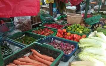 Sederet Komoditas Pangan Impor yang Bakal Guyur RI