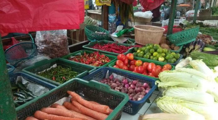 Sederet Komoditas Pangan Impor yang Bakal Guyur RI